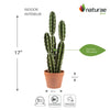 Artificial 26" Mexican Cactus In Terracotta Pot 