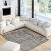 Dayna Grey Rug 3'11" X 5'11" Area Rug