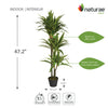 Artificial 47" Dracaena In Black Pot 