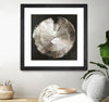 "Touch Of Silver" Matted and Framed Black 30x30 Wall Art