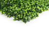 Artificial Gardenia 20"x 20" Foliage Panel 4 Pieces 