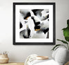 "Driven To Dig In" Matted and Framed Black 36x36 Wall Art