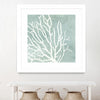"Sea Crown I" Matted and Framed White 30x30 Wall Art