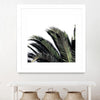"Cape Storm" Matted and Framed White 36x36 Wall Art