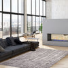 Jewel Light Grey Area Rug - 3'11" X 5'7" 