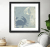 "Ocean Life Ii" Matted and Framed Black 36x36 Wall Art