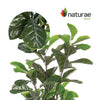 Artificial 35" Fiddle Leaf Indoor & Outdoor In Black Pot 