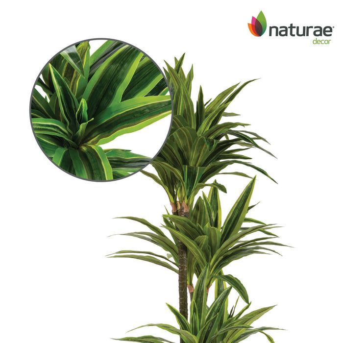 Artificial 47\" Dracaena In Black Pot