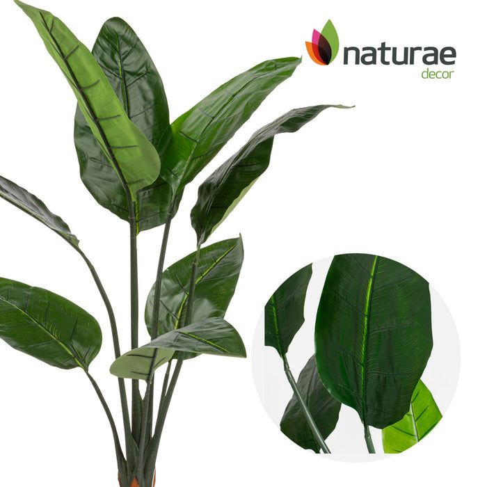 Artificial 70\" Bird Of Paradise Indoor & Outdoor In Black Pot
