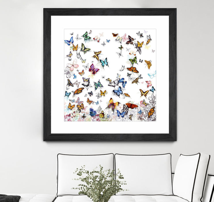 \"Papillon\" Matted and Framed Black 36x36 Wall Art