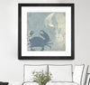 "Ocean Life Ii" Matted and Framed Black 36x36 Wall Art