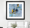 "Prize Of The Day" Matted and Framed Black 36x36 Wall Art