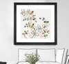 "Rainbow Vines With Berries" Matted and Framed Black 30x30 Wall Art