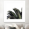 "Cape Storm" Matted and Framed White 36x36 Wall Art