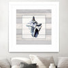 "Muted Blue Sea Conch On Wood" Matted and Framed White 36x36 Wall Art