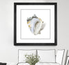"Seafoam Shell" Matted and Framed Black 30x30 Wall Art