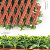 PVC Expandable Trellis 36"x 72" Gardenia Leaves 