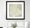 "Sea Coral I" Matted and Framed Black 36x36 Wall Art