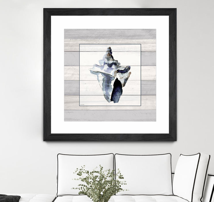 \"Muted Blue Sea Conch On Wood\" Matted and Framed Black 30x30 Wall Art