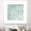 "Sea Crown Ii" Matted and Framed White 30x30 Wall Art