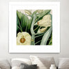 "Cropped Turpin Tropicals Iii" Matted and Framed White 30x30 Wall Art