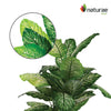 Artificial 47" Dieffenbachia In Black Pot 