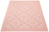 Neisha Traditional Coral Rug 6'7" X 9'6" Area Rug