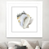 "Seafoam Shell" Matted and Framed White 36x36 Wall Art
