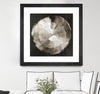 "Touch Of Silver" Matted and Framed Black 30x30 Wall Art