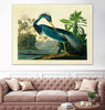 "Louisiana Heron Plate 217" Giant Art 72x54 Wall Art