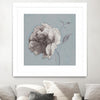 "Floral Symposium Ii" Matted and Framed White 36x36 Wall Art
