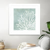 "Sea Crown Ii" Matted and Framed White 30x30 Wall Art