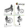 Artificial 35" Fiddle Leaf Indoor & Outdoor In Black Pot 