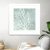 "Sea Crown I" Matted and Framed White 30x30 Wall Art
