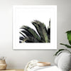 "Cape Storm" Matted and Framed White 36x36 Wall Art