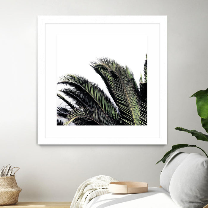 \"Cape Storm\" Matted and Framed White 36x36 Wall Art