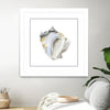 "Seafoam Shell" Matted and Framed White 36x36 Wall Art