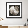 "Touch Of Silver" Matted and Framed Black 30x30 Wall Art