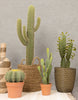 Artificial 26" Mexican Cactus In Terracotta Pot 
