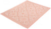 Neisha Traditional Coral Rug 6'7" X 9'6" Area Rug