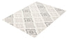 Alaqua Ivory Area Rug - 5'0" x 7'0"