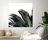 "Cape Storm" Giant Art 54x54 Wall Art
