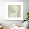 "Sea Coral Ii" Matted and Framed White 36x36 Wall Art