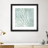 "Sea Crown I" Matted and Framed Black 36x36 Wall Art