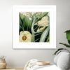 "Cropped Turpin Tropicals Iii" Matted and Framed White 30x30 Wall Art