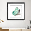 "Shell In Mint" Matted and Framed Black 30x30 Wall Art