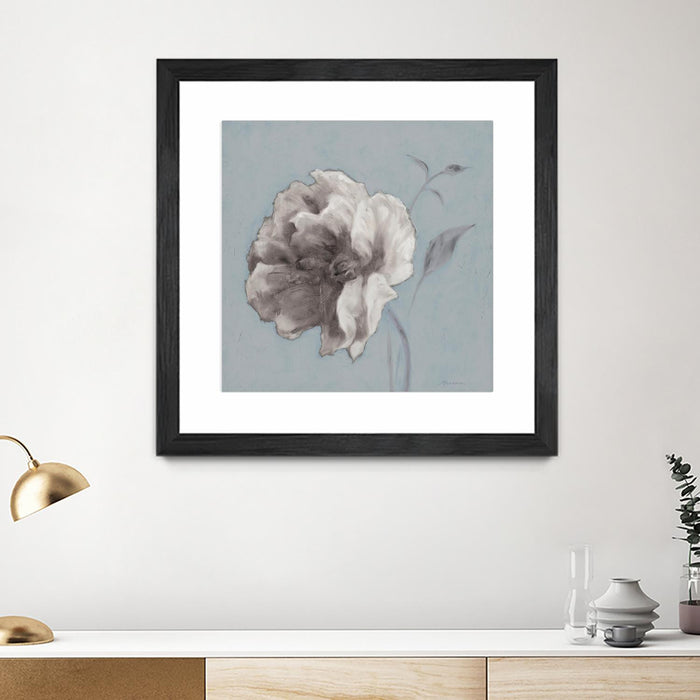 \"Floral Symposium Ii\" Matted and Framed Black 30x30 Wall Art