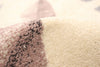 Palta Cream-Rose Area Rug - 3'11" x 5'7"