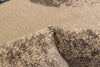 Ellegance Ivory / Blue 6'7" x 9'6" Area Rug