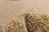 Ellegance Ivory / Gold 6'7" x 9'6" Area Rug